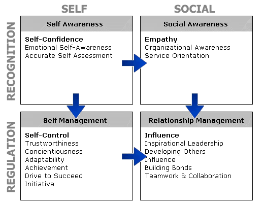 ESCI 360° - Emotionalstrategies