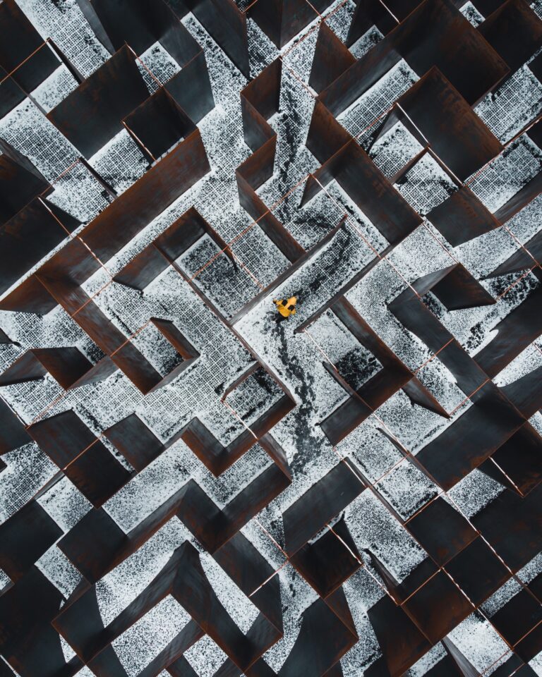 maze navigate 2020